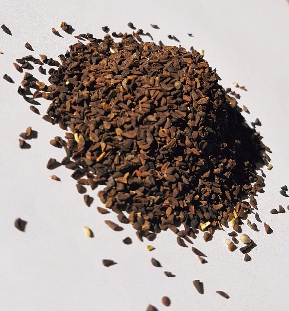 Peganum harmala (Syrian rue)